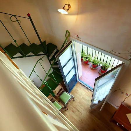 Ibarra Zalla Льянтада