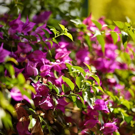 ホテル Ibarra Zalla Llantada