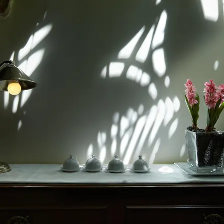 Ibarra Zalla ホテル