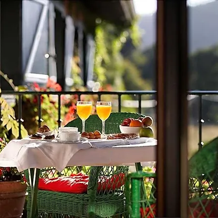 Hotel Ibarra Zalla 3*