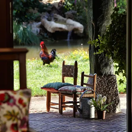 Ibarra Zalla ホテル 3*