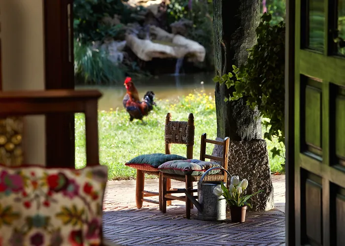 Ibarra Zalla Otel 3*